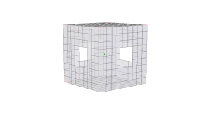 Holey Cube 002