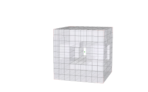 Holey Cube 10